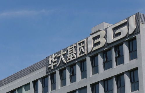 A股5家新冠檢測(cè)概念產(chǎn)業(yè)鏈龍頭公司盤(pán)點(diǎn)及其新材料技術(shù)研發(fā)優(yōu)勢(shì)